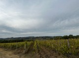 Tuscany Wine Tasting Experience