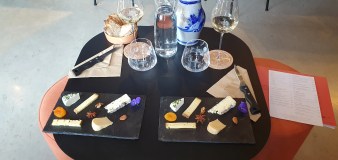 Alsace Vintage Wine Tasting Experience