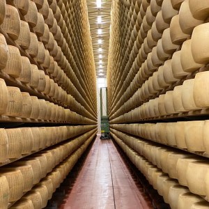 Parmigiano Reggiano D.O.P Factory Experience
