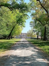 Bordeaux Vertical Wine Experience