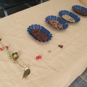 Gran Canarias Coffee Experience