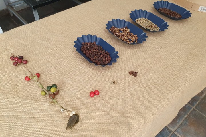 Gran Canarias Coffee Experience