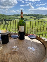 Winemaker's Picnic & Visit Experience