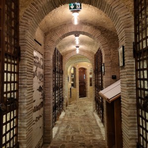 Provence Immersive Wine Experience