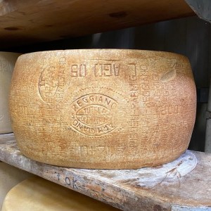 Parmigiano Reggiano D.O.P Factory Experience