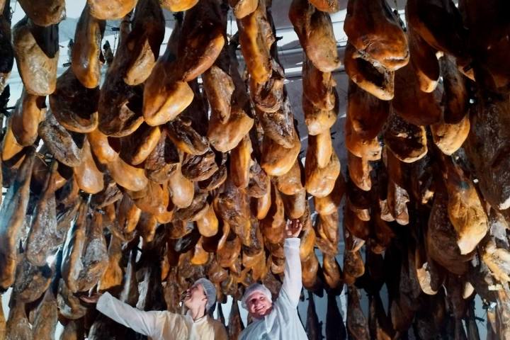 Iberian Pig Farm Experience