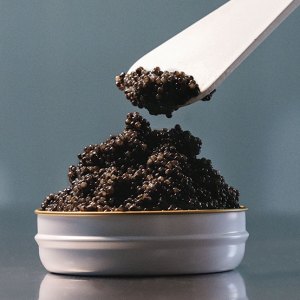 Caviar Tasting & Guided Experience