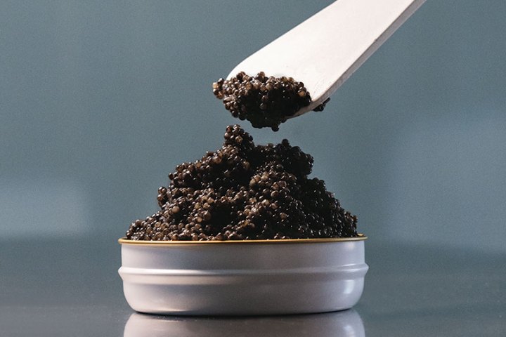Caviar Tasting & Guided Experience