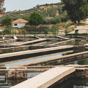 Caviar Tasting & Guided Experience