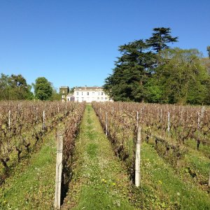Bordeaux Vertical Wine Experience