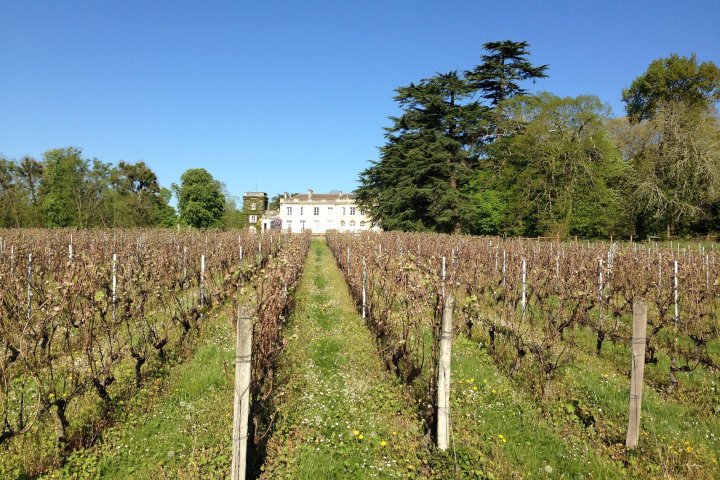 Bordeaux Vertical Wine Experience