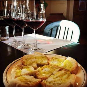 Tuscany Wine Tasting Experience