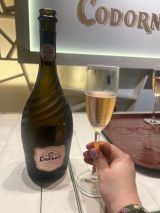 Discovery Cellars Experience