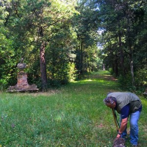 Tuscan Truffle Hunting Experience