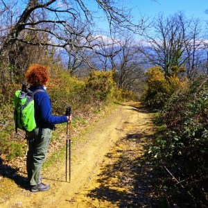 Tuscan Hikking Experience