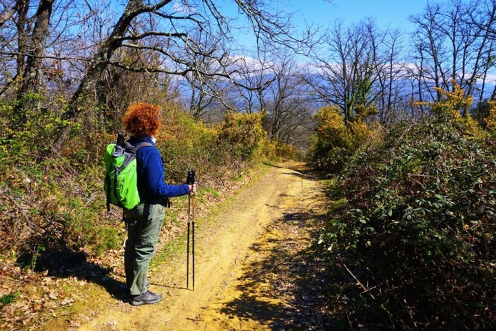 Tuscan Hikking Experience