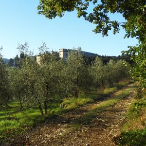 Tuscan Hikking Experience