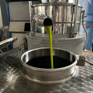 Sicilian Olive Oil Experience