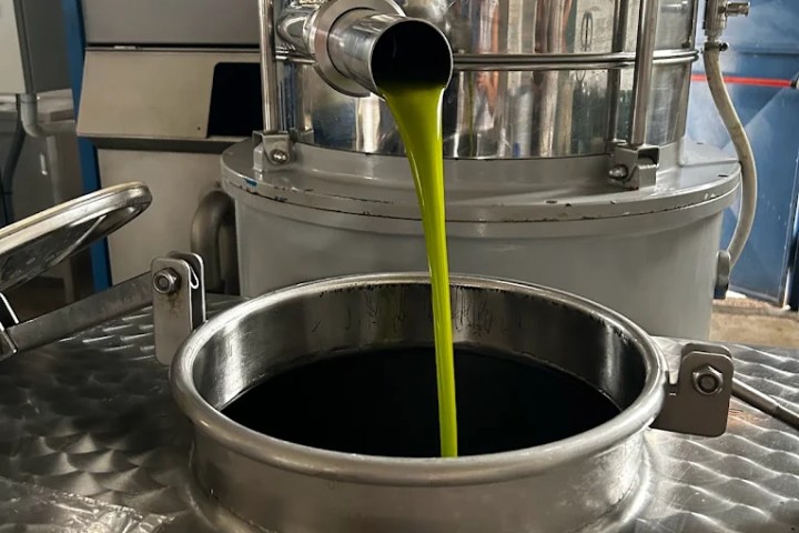 Sicilian Olive Oil Experience