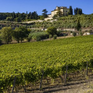 Tuscan Private Art of Wine Tasting Experience