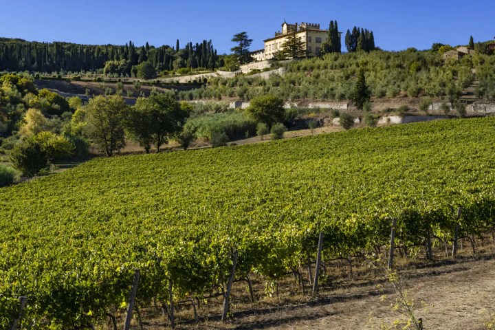 Tuscan Private Art of Wine Tasting Experience