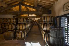 Tuscan Private Art of Wine Tasting Experience