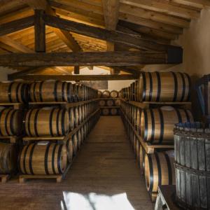 Tuscan Private Art of Wine Tasting Experience