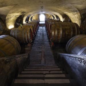 Tuscan Private Art of Wine Tasting Experience