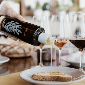 Catânia Wine Tasting Experience