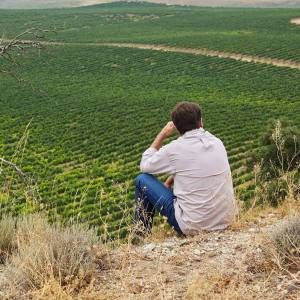 Discovery Cellars Experience