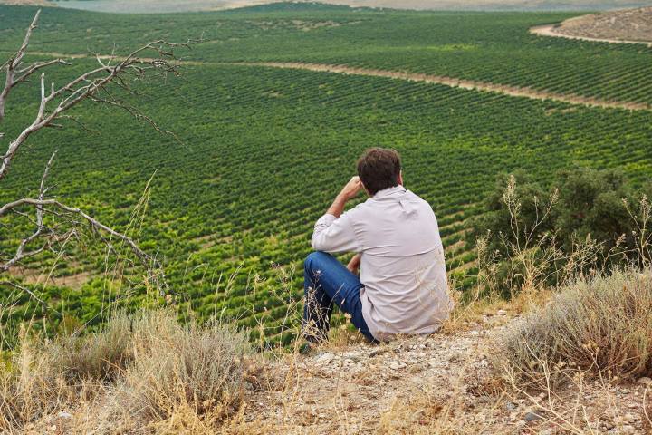 Discovery Cellars Experience