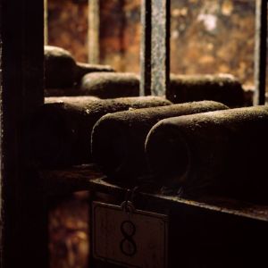 Elciego Winery Tour & Guided Tasting Experience