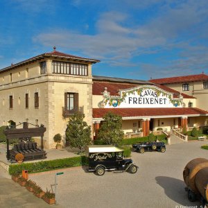 Sparkling Wines Visit & Paring Experience