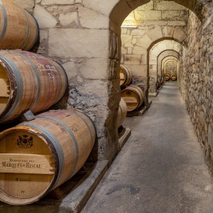 Elciego Winery Tour & Guided Tasting Experience