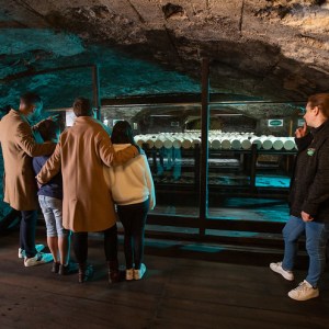 Roquefort Cheese Cellars & Tasting Experience