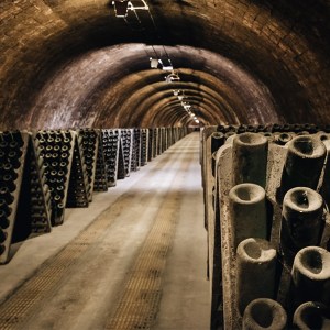 Discovery Cellars Experience