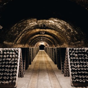 Discovery Cellars Experience