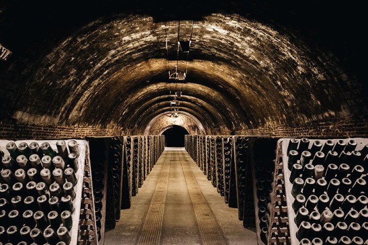Discovery Cellars Experience