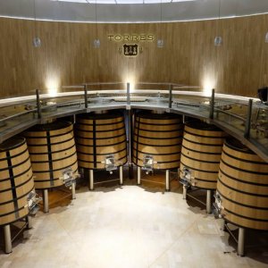 Visit with Wine & Cheese Pairing