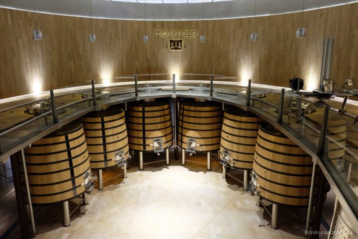 Visit with Wine & Cheese Pairing