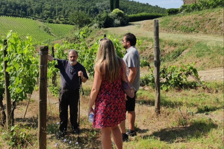 Chianti Classico Vineyard Trek & Premium Wine Tasting
