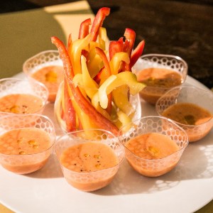 Chianti Winery Lunch in Italy