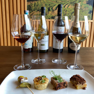 Visit with Wine & Tapas Pairing Experience