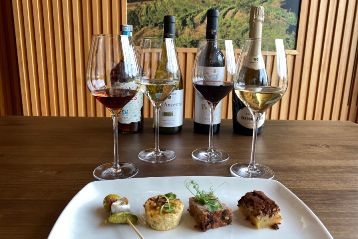 Visit with Wine & Tapas Pairing Experience