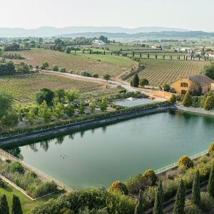 Visit with Wine & Cheese Pairing