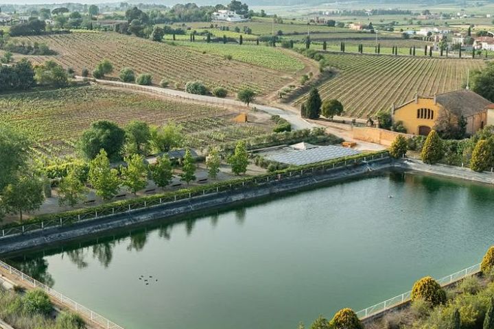 Visit with Wine & Cheese Pairing