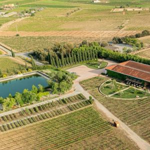 Visit with Wine & Cheese Pairing