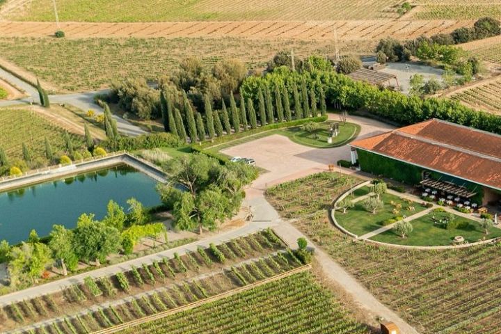 Visit with Wine & Cheese Pairing