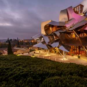 Elciego Winery Tour & Guided Tasting Experience