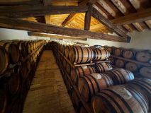 Tuscan Private Art of Wine Tasting Experience